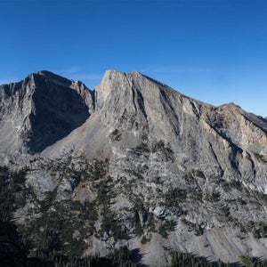 She dialed 911, anyway. Nothing. “Searching,” the screen declared with perfect indifference.