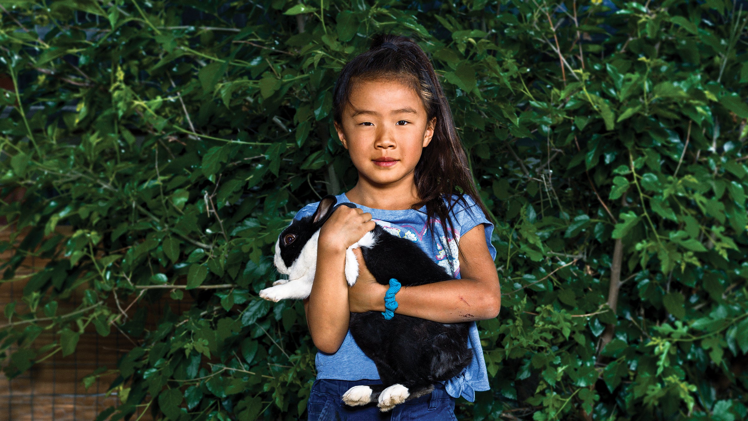 The permeability of the heart occurs naturally when we’re very young.