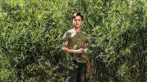 Adolescence has become almost pathologized.