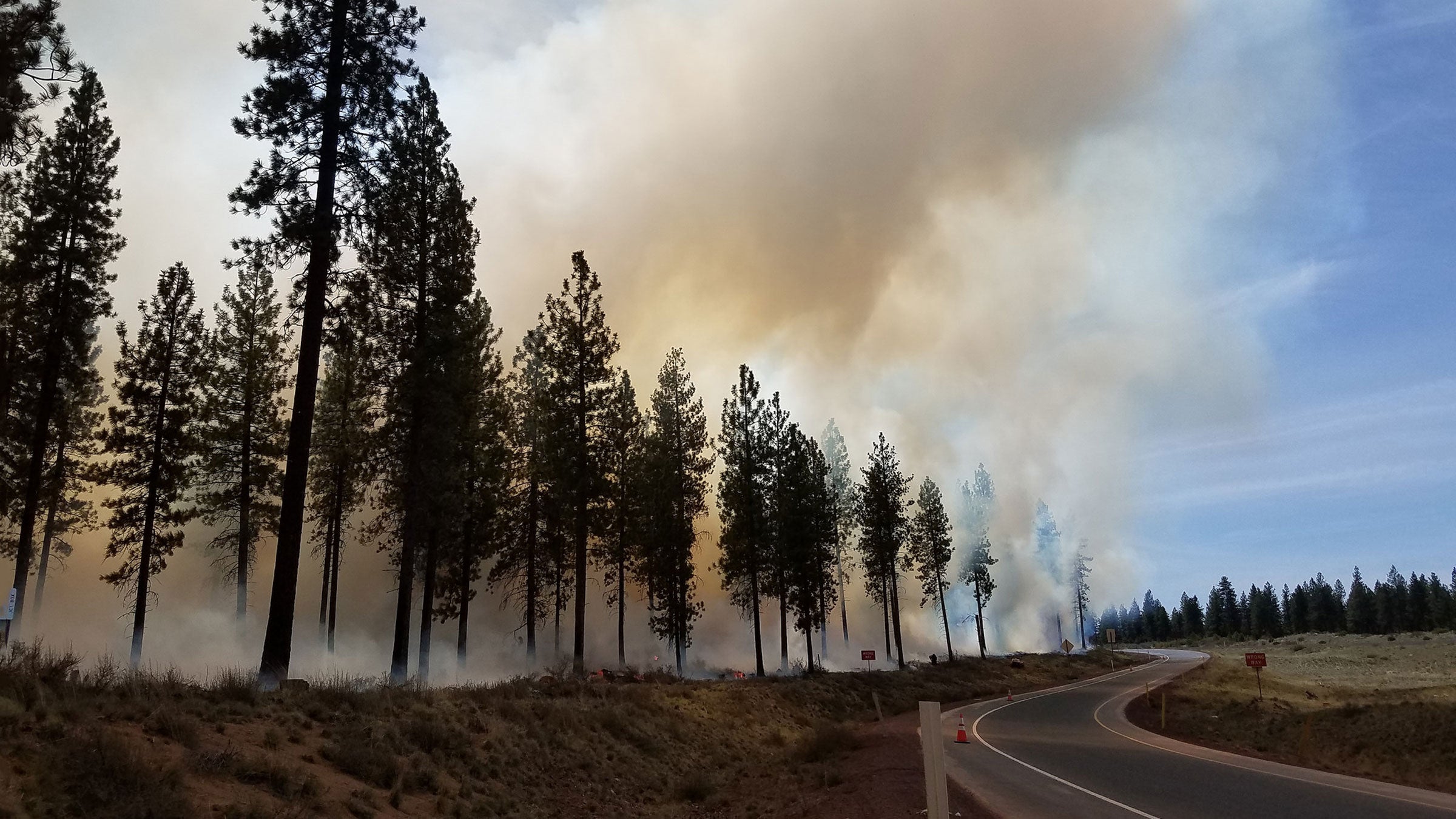 Thinking of going for a run? Check your air quality first.