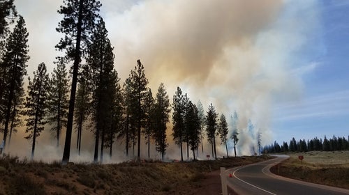 Thinking of going for a run? Check your air quality first.