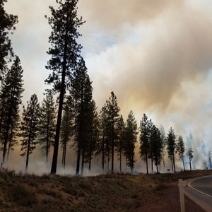 Thinking of going for a run? Check your air quality first.
