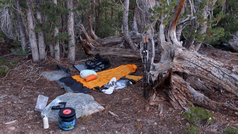 A typical camp: cowboy camping (no shelter), tucked in among trees for wind protection and thermal cover. I carried a mid tarp and didn’t set it up once.