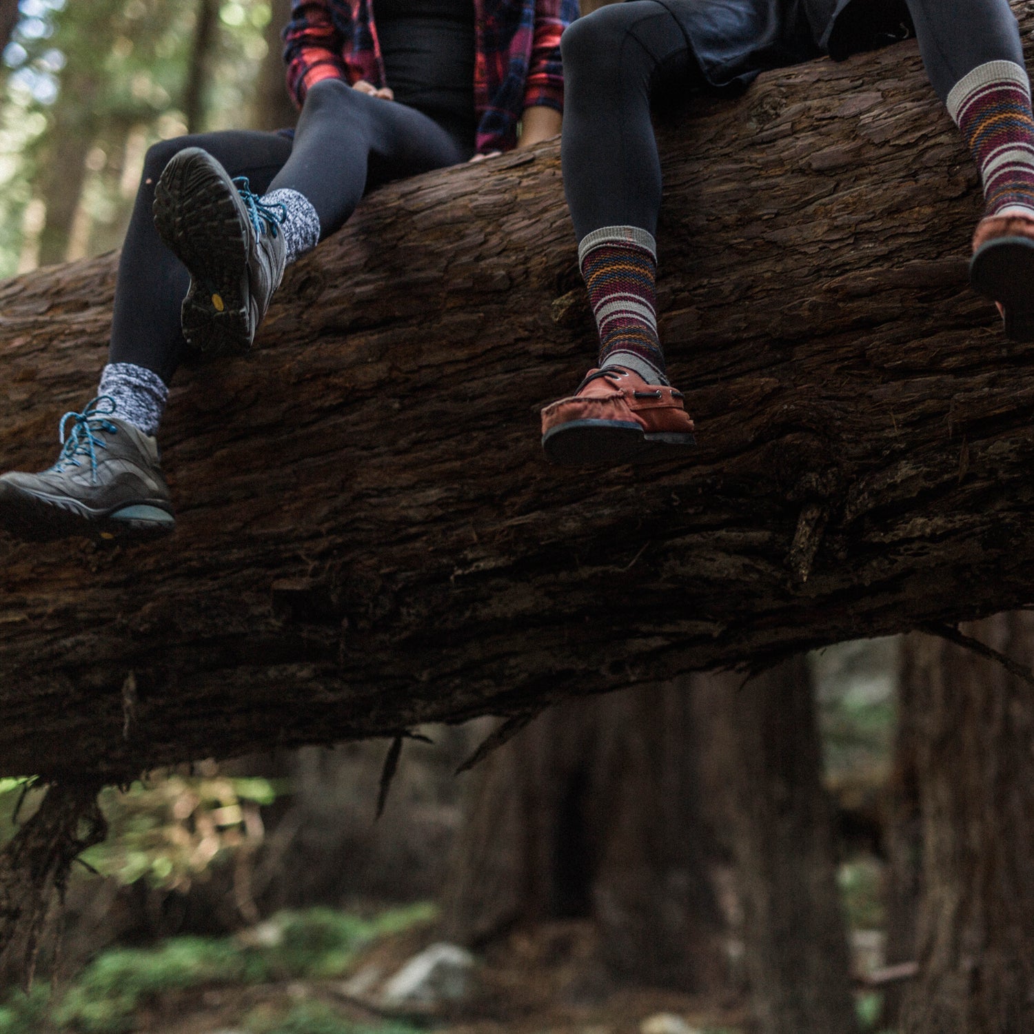 Cultural stuff to talk about when you're sitting on a log with your friend.