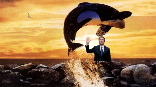 Except, like the opposite sentiment about orcas than the movie.