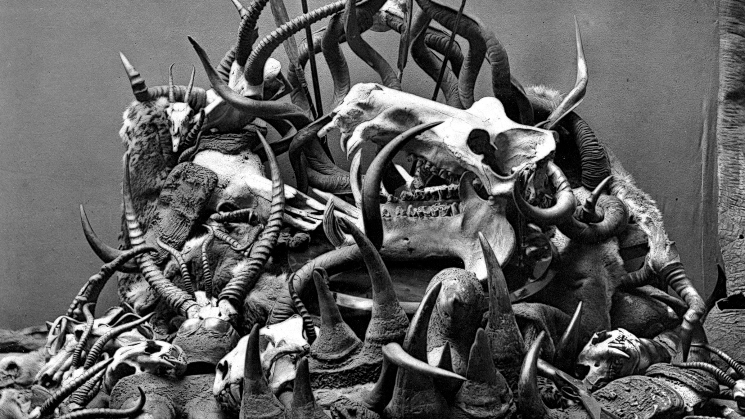 We’re abusing the heck out of our planet’s natural resources.