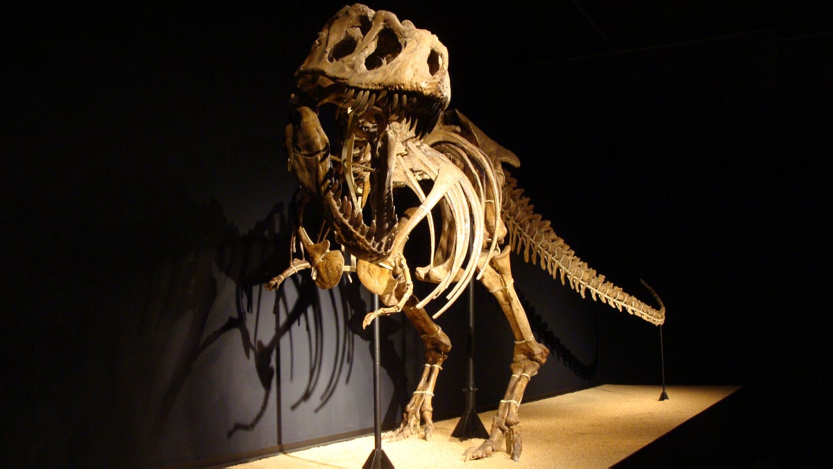 鈥楾he Dinosaur Artist鈥� Digs into the World of Fossils