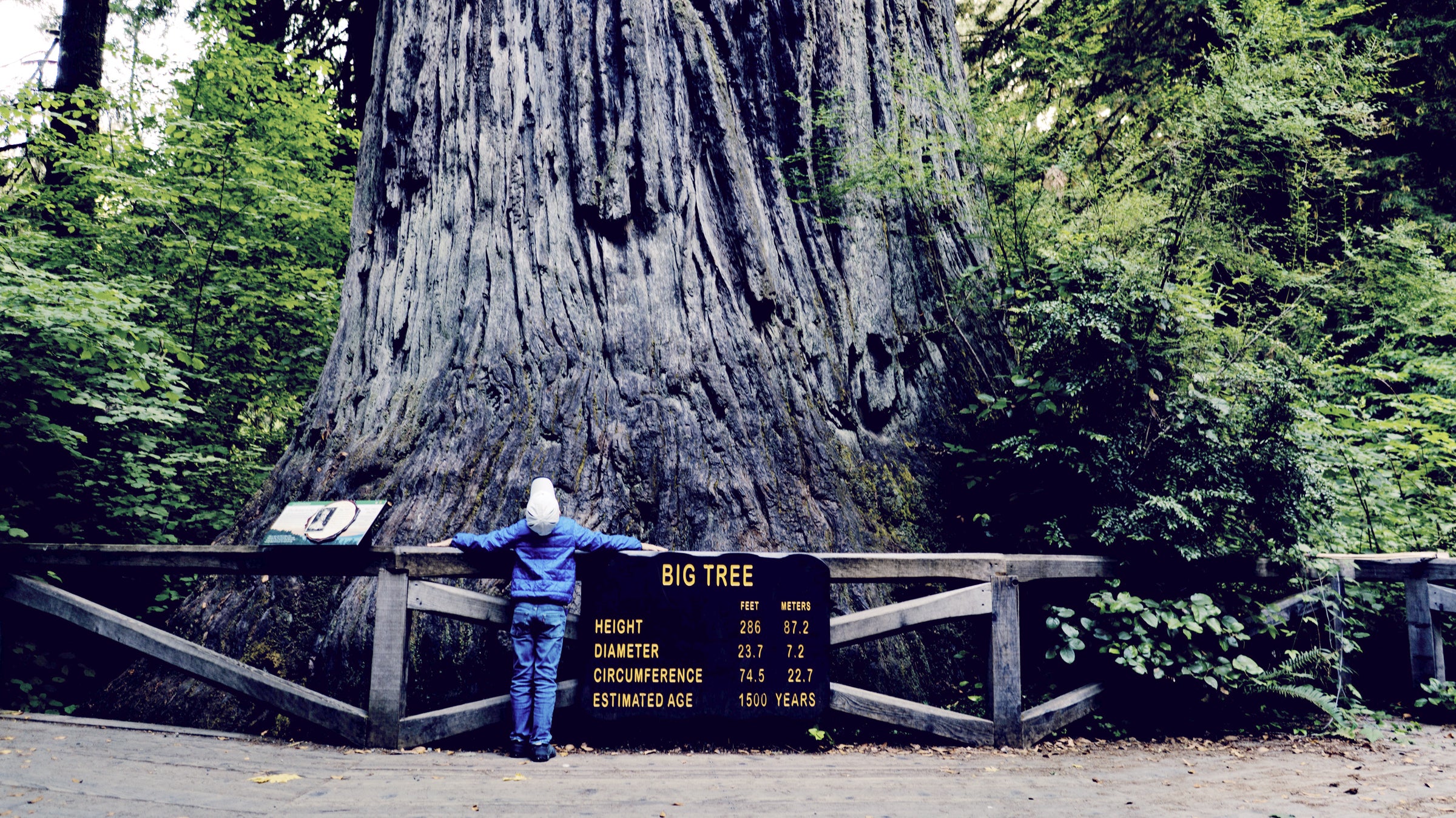 Older kids may be more stubborn about hiking, but sights along the way usually help.