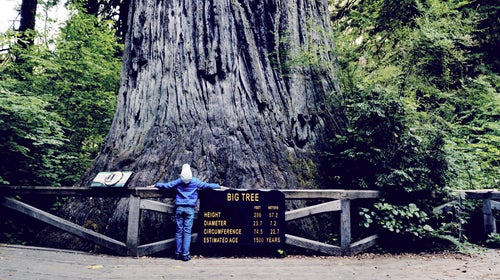 Older kids may be more stubborn about hiking, but sights along the way usually help.
