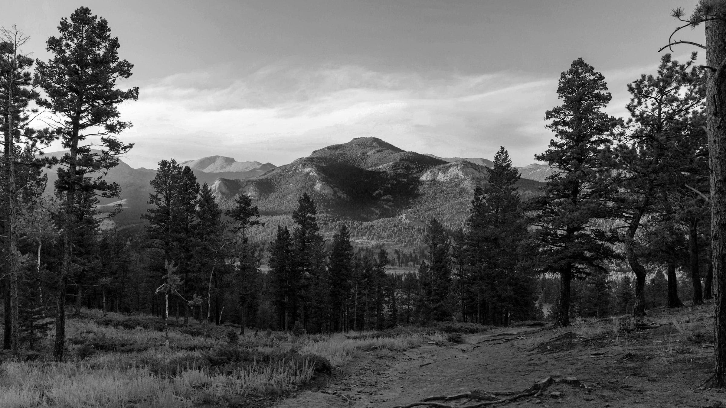 Harold Henthorn called 911 from a remote location on Rocky Mountain National Park's Deer Mountain, about 2.5 miles from the trailhead and at the base of a roughly 150-foot cliff. Toni, his wife, had fallen from a ledge; she was alive but unconscious.