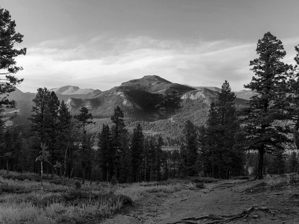 Harold Henthorn called 911 from a remote location on Rocky Mountain National Park's Deer Mountain, about 2.5 miles from the trailhead and at the base of a roughly 150-foot cliff. Toni, his wife, had fallen from a ledge; she was alive but unconscious.
