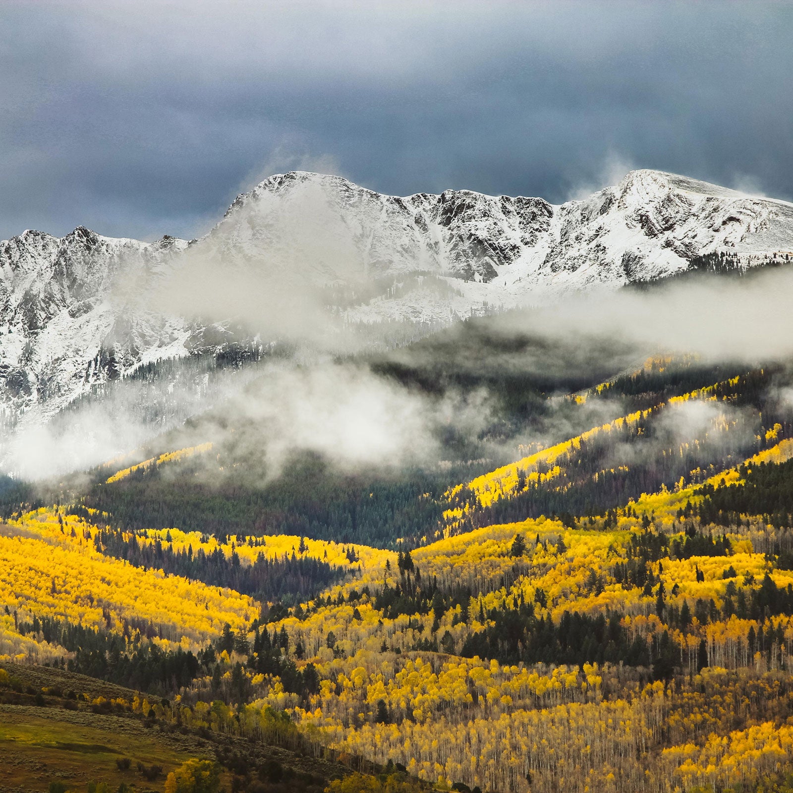 With the leaves and weather changing, now is the perfect time to capture all those oranges, yellows, and reds.