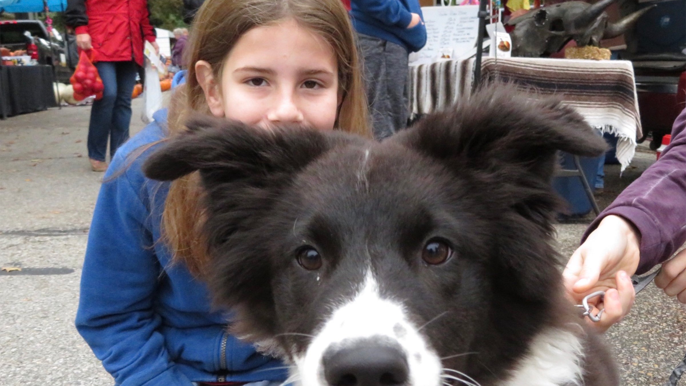 Gideon pet Boscoe, an Australian shepherd who likes to play fetch with his bucket.