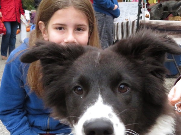 Gideon pet Boscoe, an Australian shepherd who likes to play fetch with his bucket.