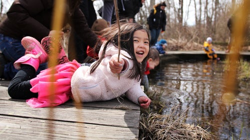 No matter where you live, you’re probably pretty close to a small park.