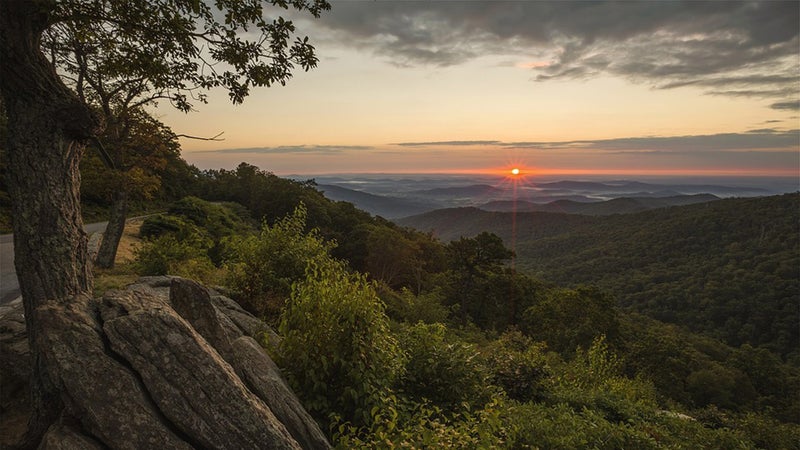 Shenandoah National Park.