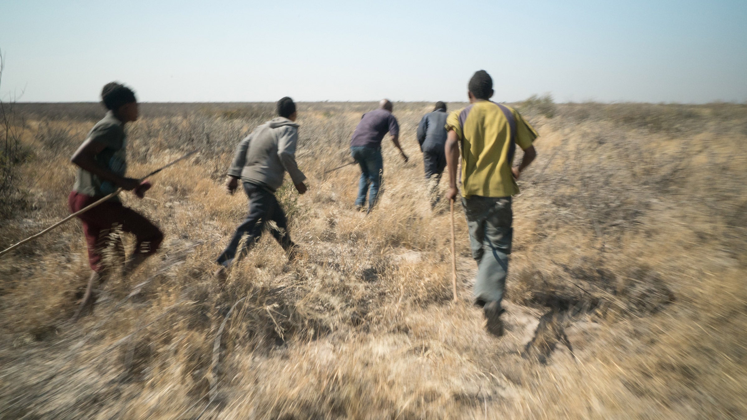 Bushmen on the hunt in '3100: Run and Become'.