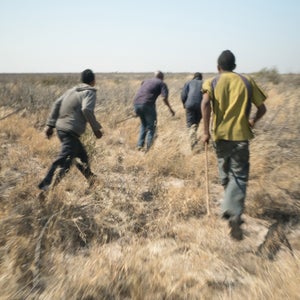 Bushmen on the hunt in '3100: Run and Become'.
