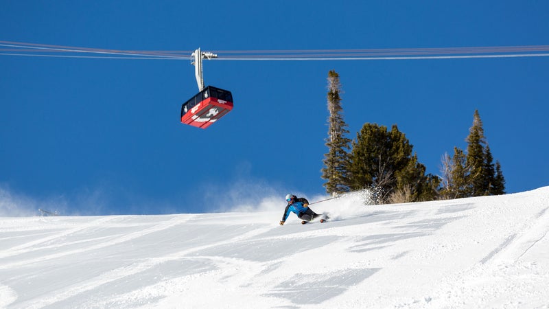 skier mountain