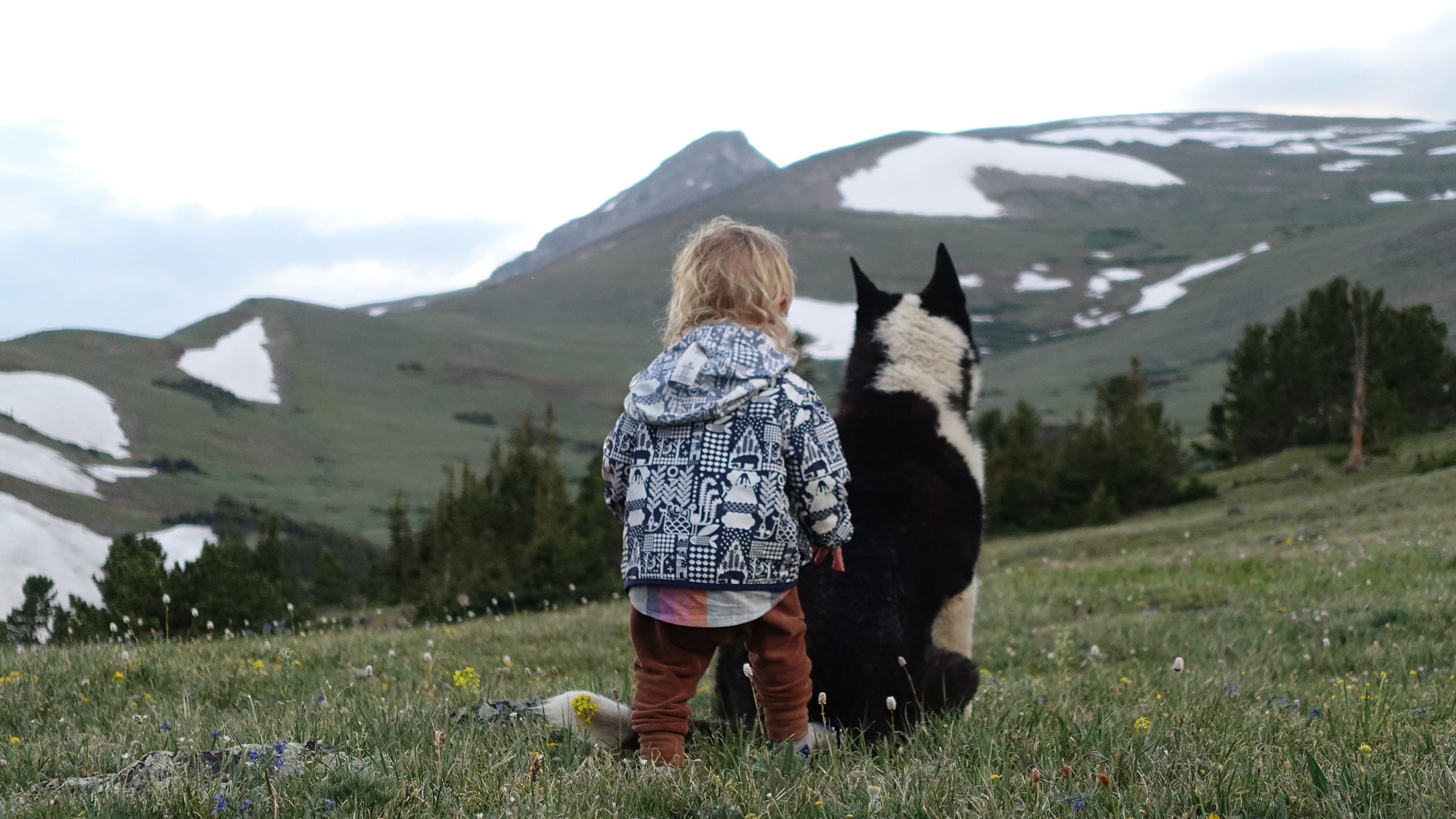 Sansho and Wilder, on a bikepacking trip this summer.