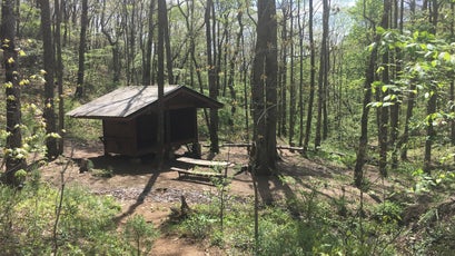 The Low Gap shelter today.