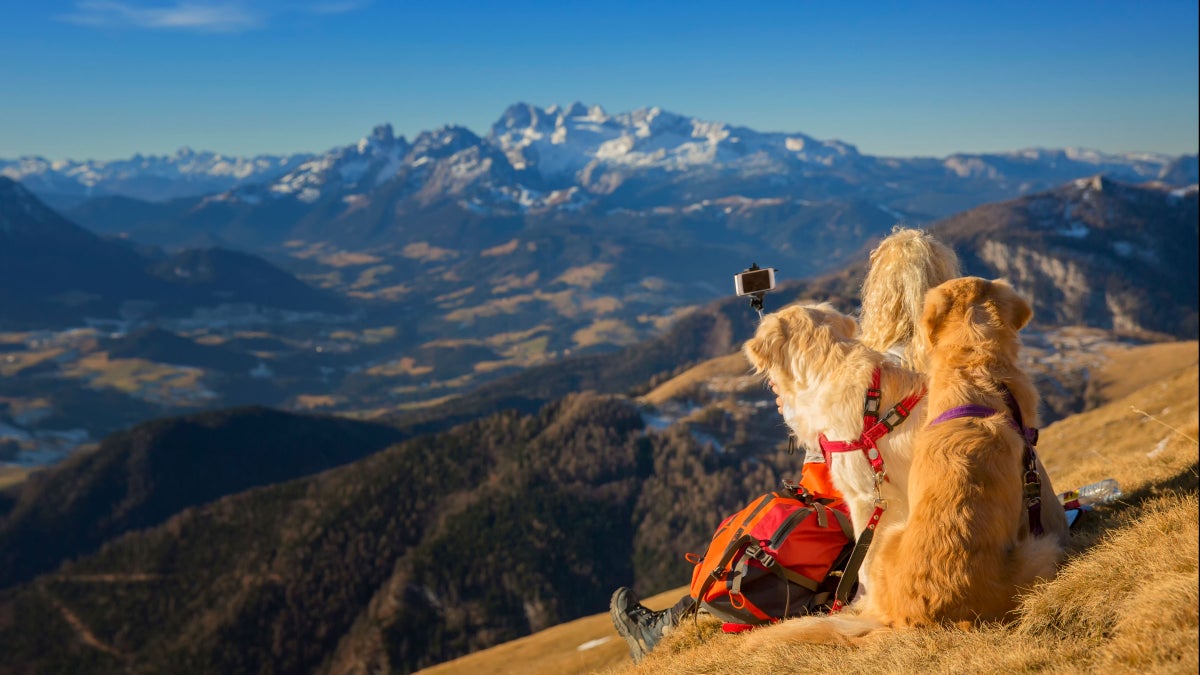 How to Edit Your Photos for Instagram