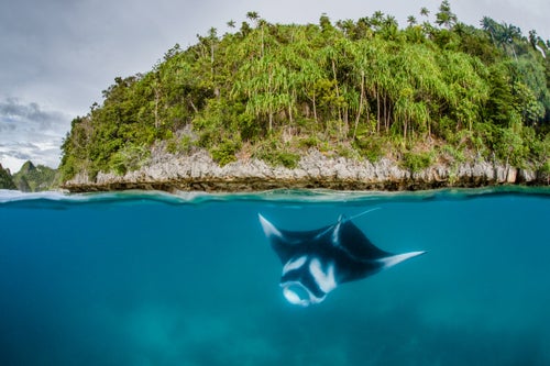 11 Islands With Amazing Biodiversity