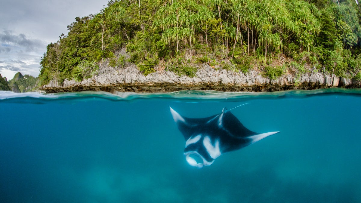 Saving One of the Last Biodiversity Hot Spots - Outside Online