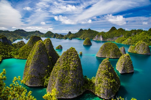 The strategy has worked before. In 2014, a similar campaign from Heinrichs and Weller around the Raja Ampat archipelago (pictured above)鈥攁 chain of islands off Papua鈥檚 west coast that in 2012 became Southeast Asia鈥檚 first shark and ray sanctuary鈥攊nspired the then-governor Abraham Ataruri to extend environmental protections to the entire province, laying the groundwork for the current conservation province legislation.