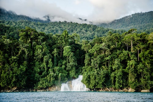 The effort to make West Papua a conservation province is largely an attempt to extend the current conservation program to encompass the whole region, in particular its vast rain and mangrove forests. It comes at a critical point: Indonesian president Joko Widodo has announced a commitment to grow West Papua鈥檚 economy through rapid infrastructure development that will better utilize the region鈥檚 potential for mining, logging, and fishing. If the conservation province passes, however, the development paradigm would shift to one of sustainability. While not yet in its final form, the law would ensure that companies adhere to strict practices that wouldn鈥檛 cause any long-term environmental damage, while setting aside specific areas as entirely protected zones.