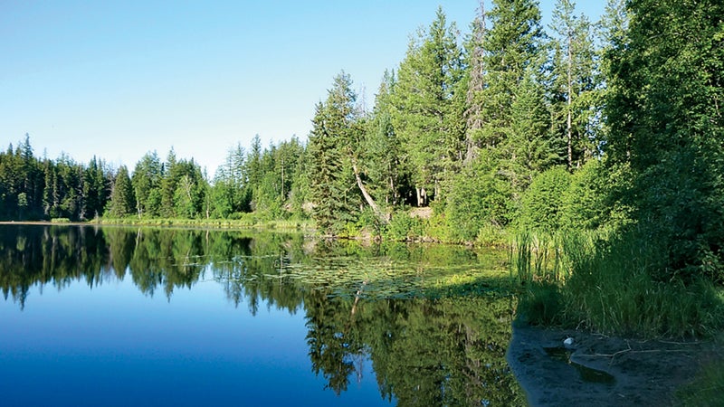 Hogsback Lake, where Scott went missing