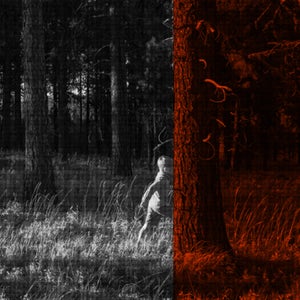 The author's six-year-old sun, Nico, walking the Oregon woods where Sheehy got lost at the same age.