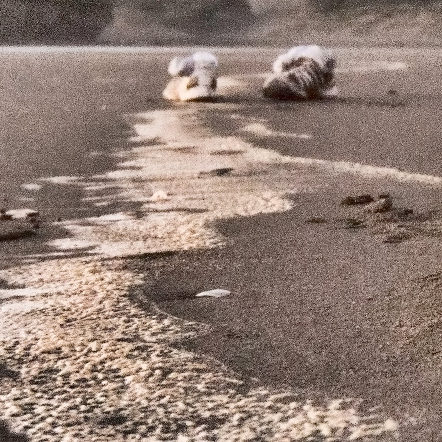 The Mystery of the Feet got complicated.