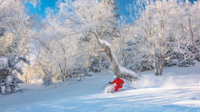 Sugarbush