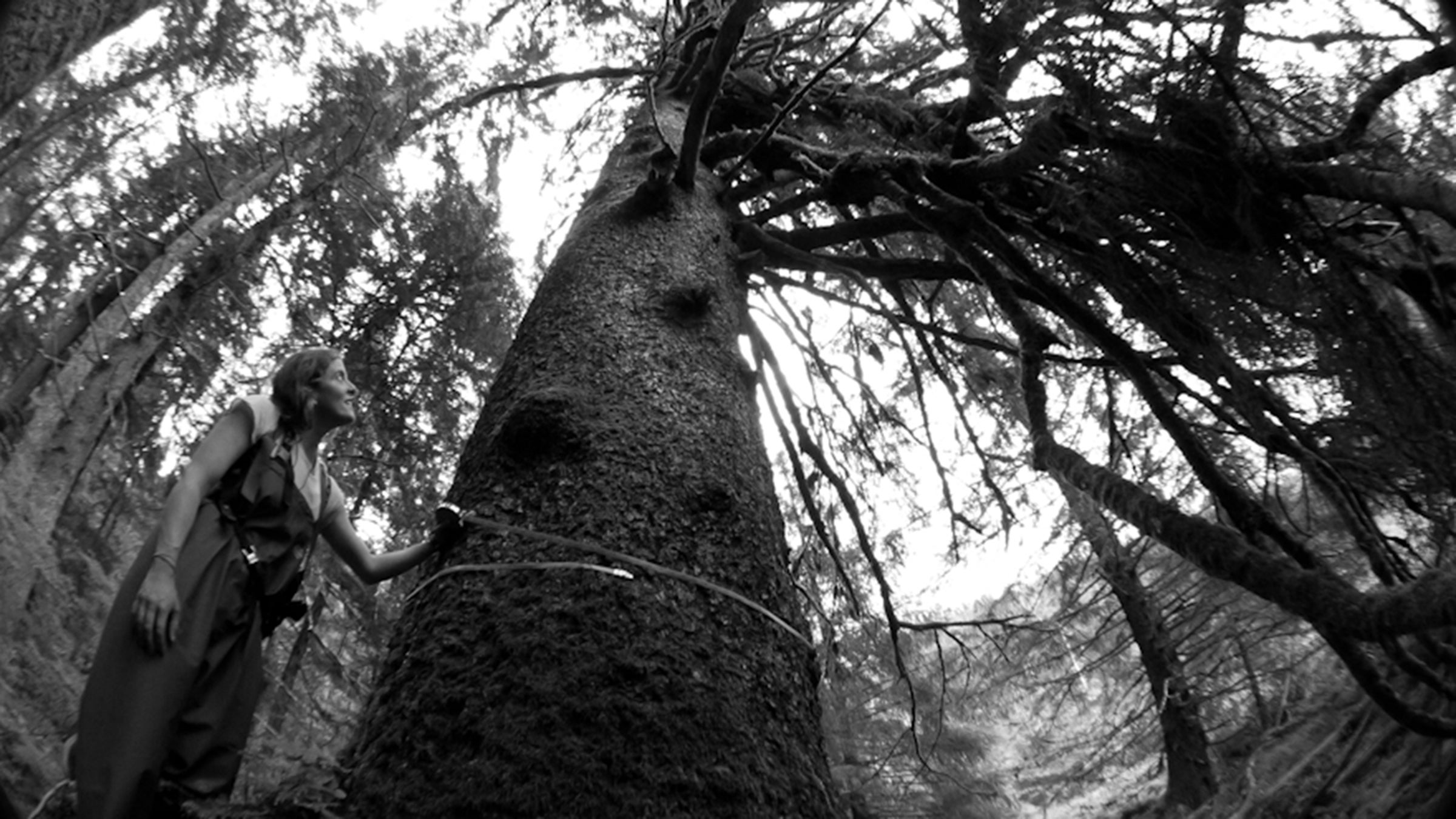 Lauren Oakes, author of 'In Search of the Canary Tree,' on a research trip.