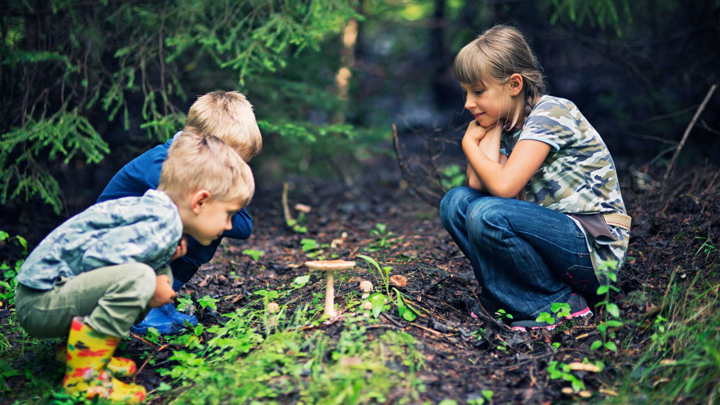Want to start foraging with your kids? Here's where to start.