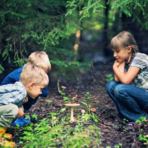 Want to start foraging with your kids? Here's where to start.