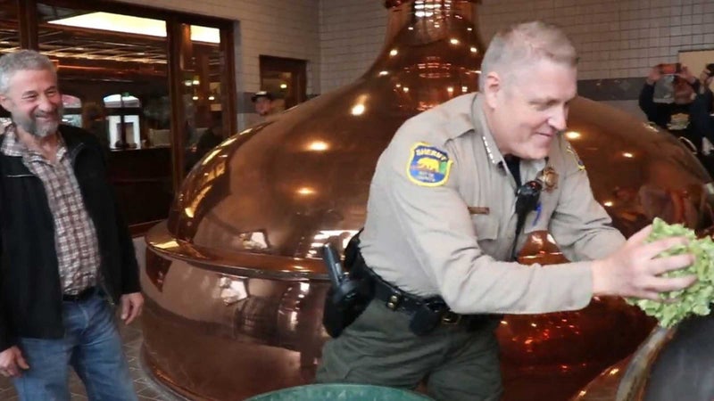 Butte County sheriff Kory Honea adds a handful of hops to the first batch of Resilience IPA as Sierra Nevada's CEO Ken Grossman looks on.