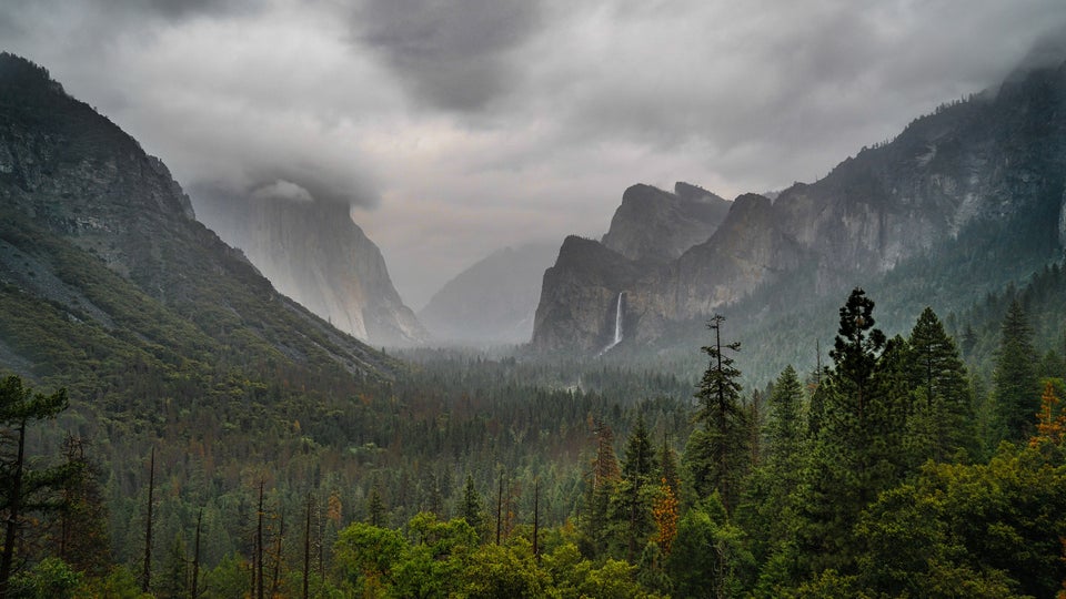 Life and Death on El Capitan