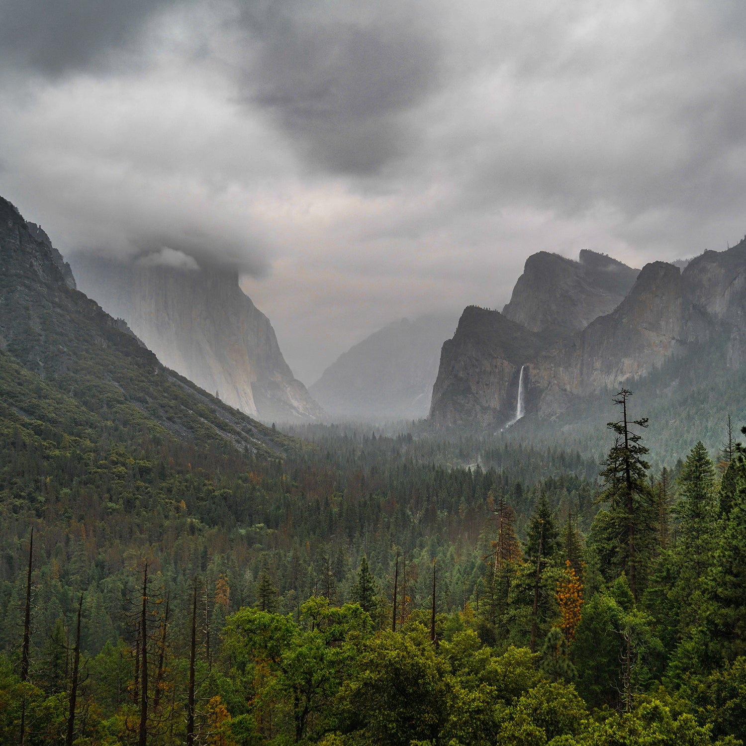 Life and Death on El Capitan