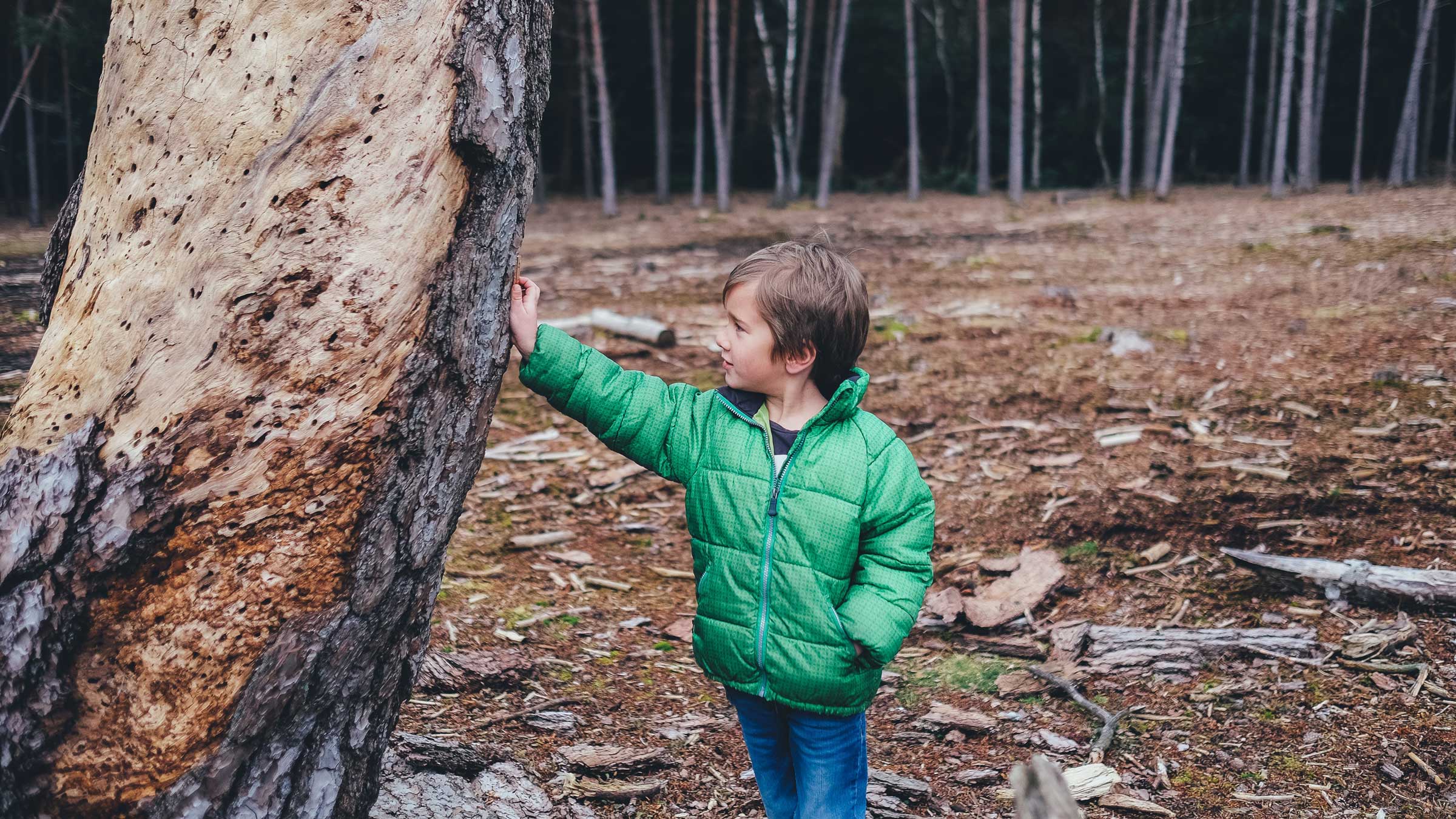 Slow down and look around.