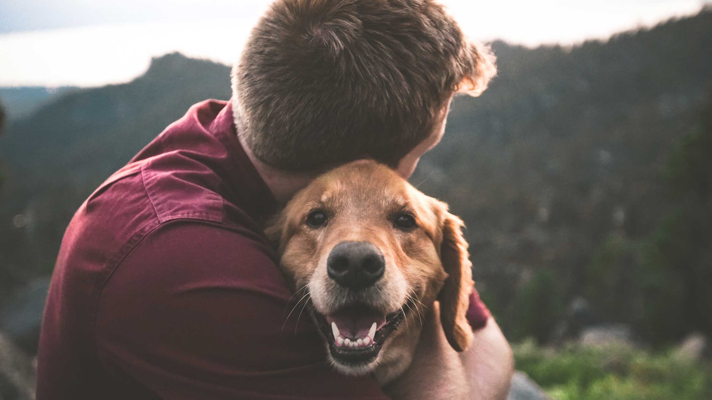 What would it mean to focus on the process of living?