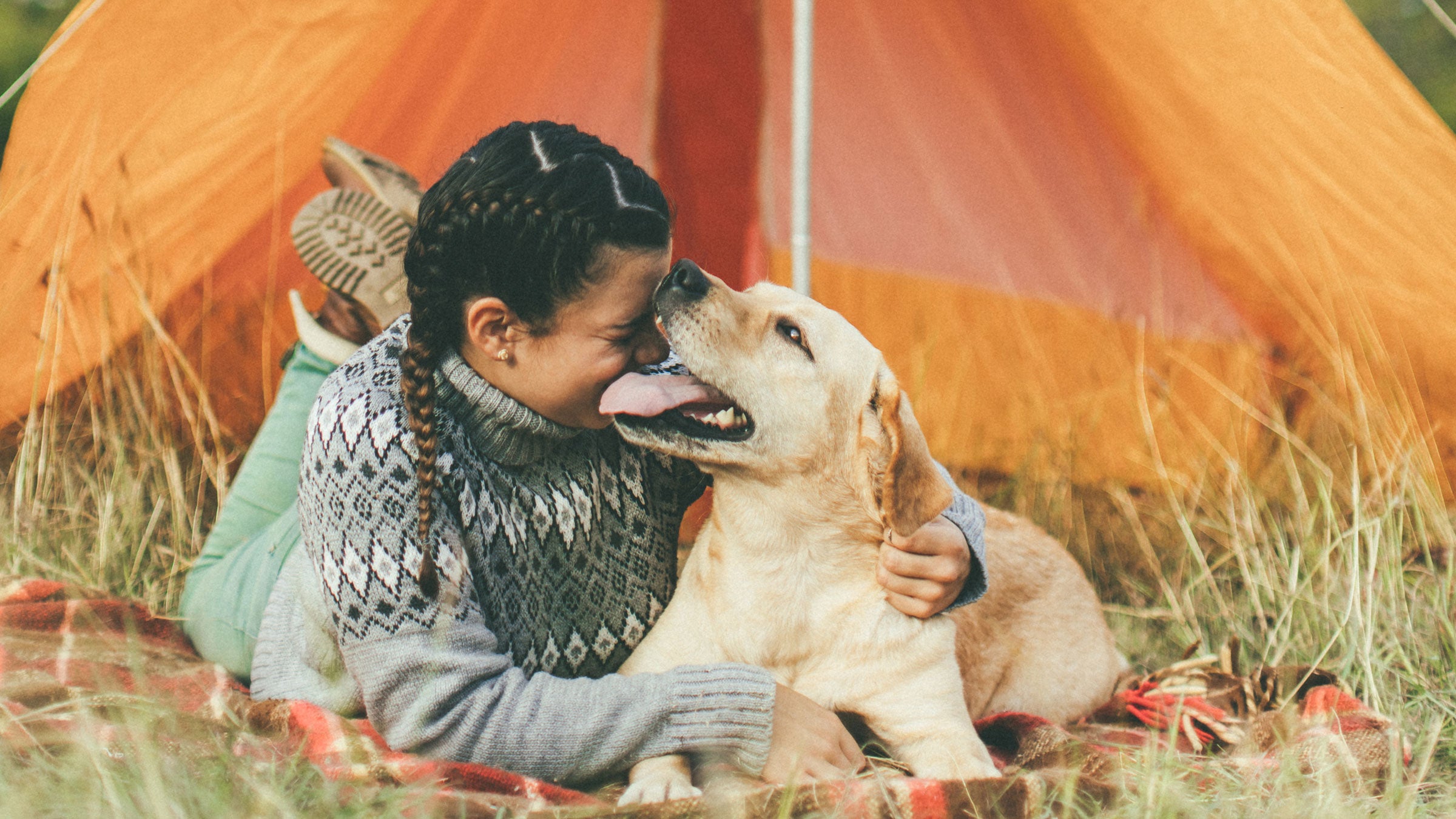 Gifts that your ourdoor adventure pooch will love (or at the very least, they’ll enjoy destroying the wrapping paper).