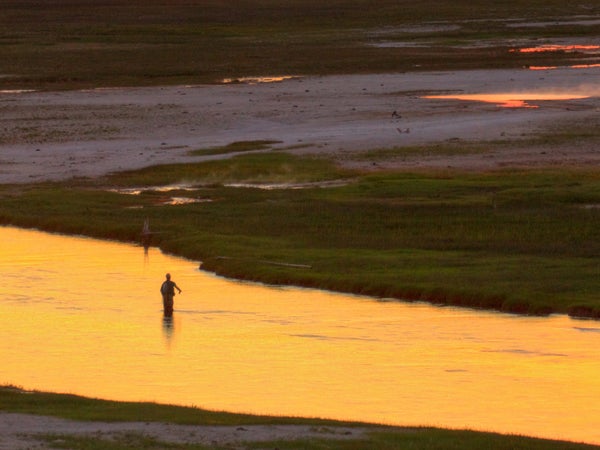 Fly fishing at sunset.