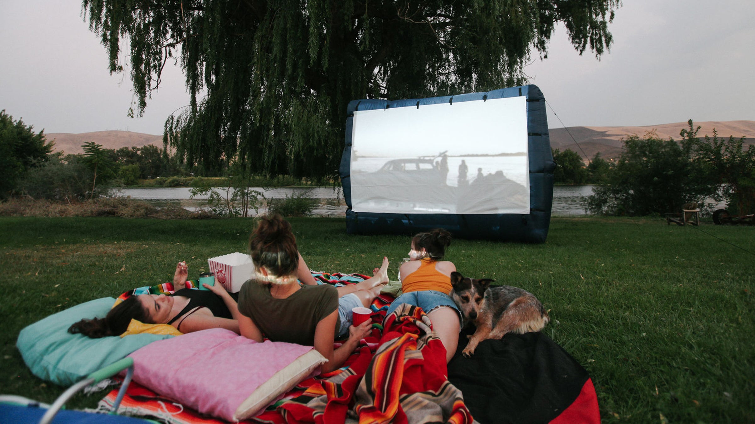 Everything we watched, read, and listened to (and liked).