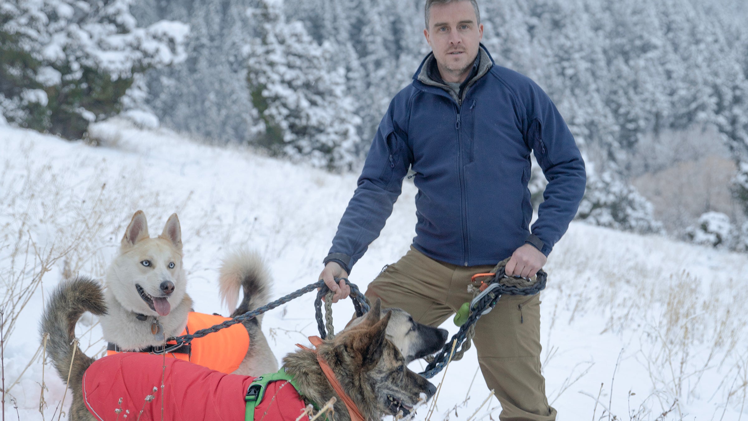 Me and the pups at home in Montana. 