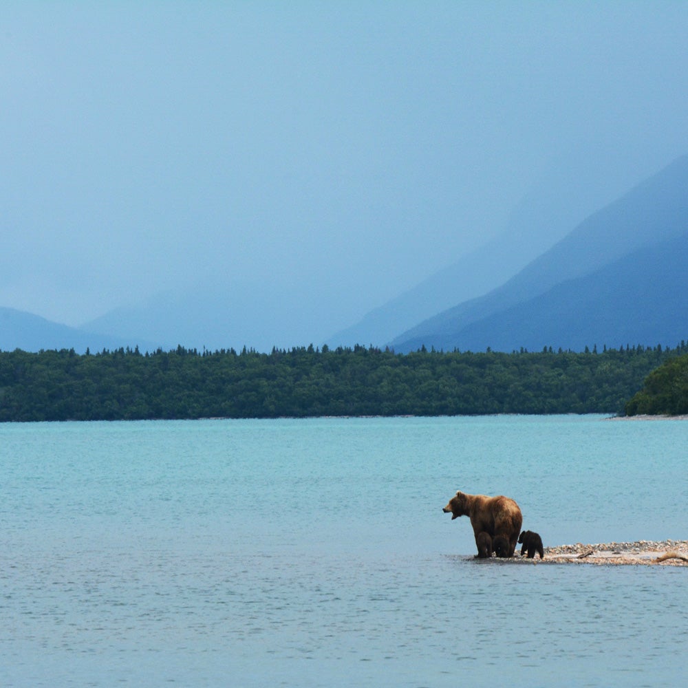 Alaska is headed into a record-warm winter.