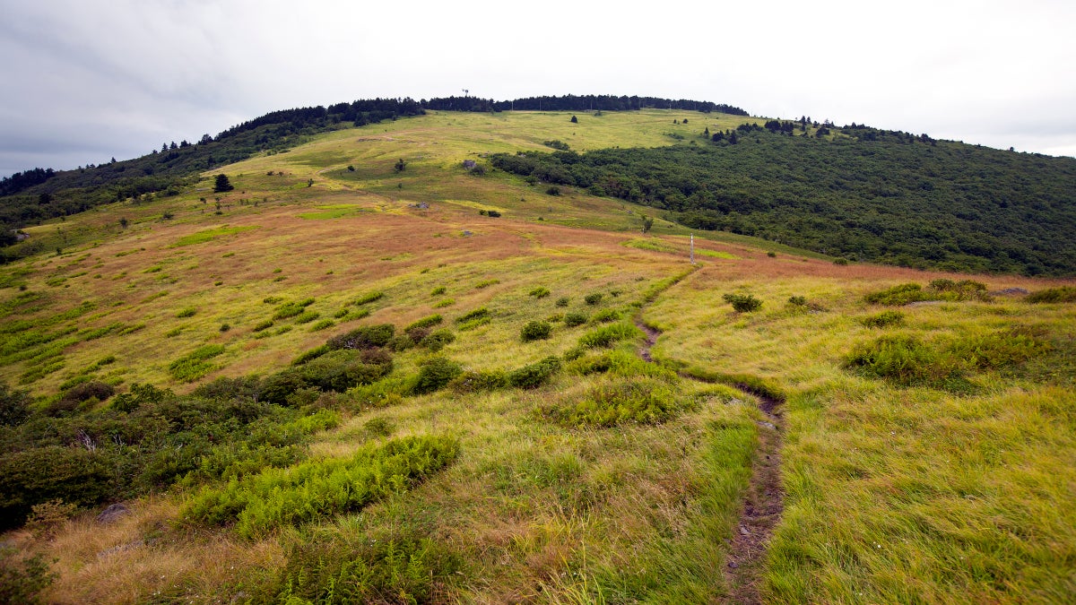 The Forest Service Is the Energy Industry's New Pal