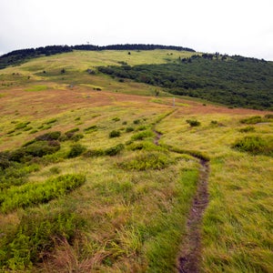 What seemed to have changed, most obviously, was the administration soon to be occupying the White House.