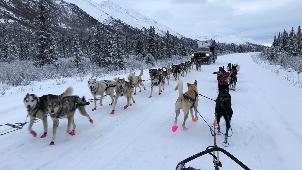 The Road to the Iditarod